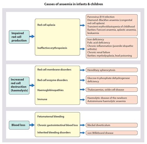 Causes of anemia in infants & children #Diagnosis #Peds # ...