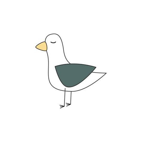 Seagulls In Flight Cartoon Illustrations Royalty Free Vector Graphics