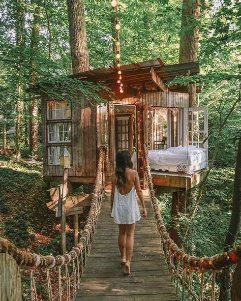 Beautiful Treehouse In The Nature Georgia United States Photo By