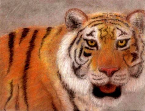 Tired Tiger Tigre Cansado By Dopellgersec On Deviantart