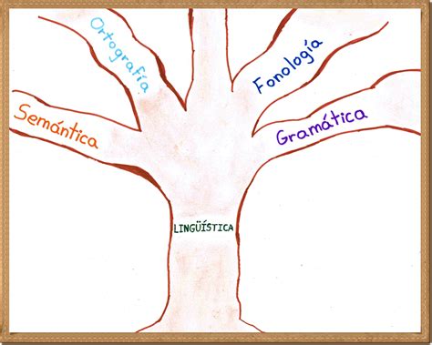 Diferencias Entre Lengua Léxico Lingüística Gramática Ortografía