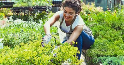 11 Expert Tips On How To Build A Preppers Garden For Self Sufficiency
