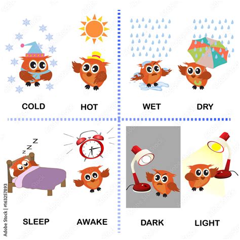opposite word vector background for preschool cold hot wet dry sleep awake dark light stock