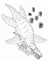 Liopleurodon Ferox Avancna sketch template