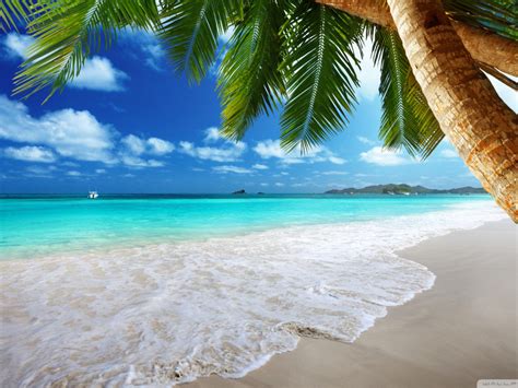 Desktop Wallpaper Paradise Tropical Beach Hd Image Picture