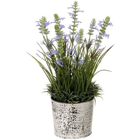 Potted Lavender In Tin Pot 14 Lavender