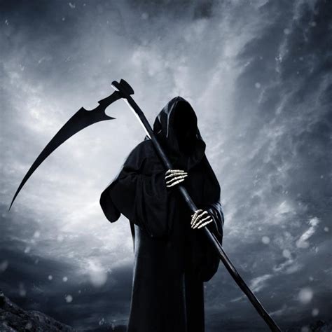 Download Reaper Full Version For Android Walknew