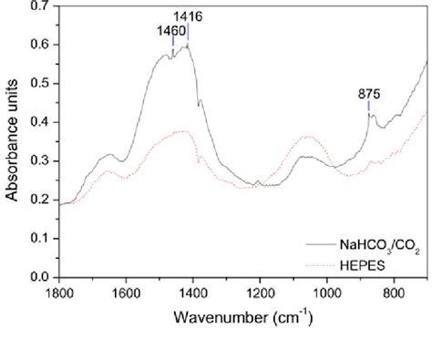 Ftir Absorbance Spectrum Of Pure Mg Samples Immersed In Hbss With
