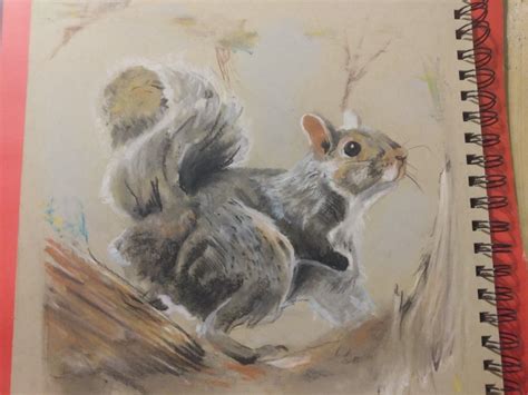 Missouri Squirrel Squirrel Painting Cute