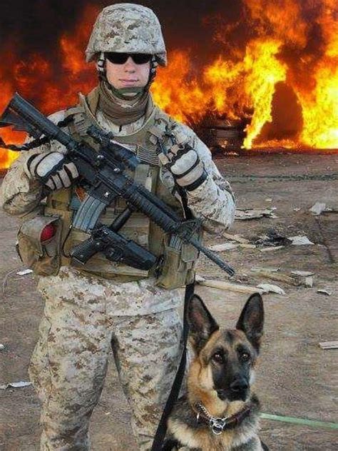 German Shepherd Military War K9 And Handler Heroes And God Bless You