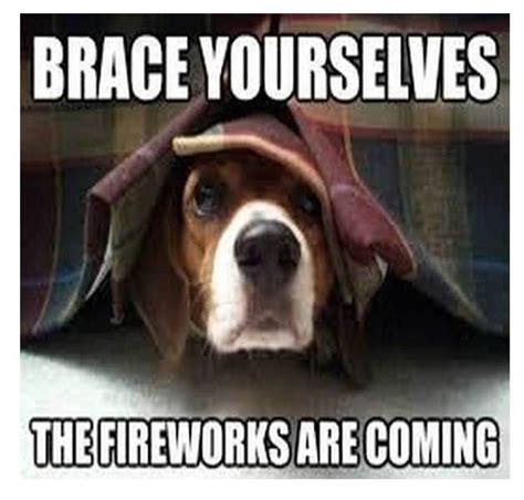 Happy And Funny 4th Of July Memes That Every American Can