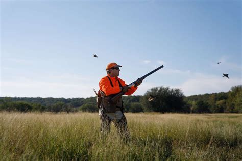 Guided Upland Bird Hunts In Texas Tx Mixed Bag Upland Hunting