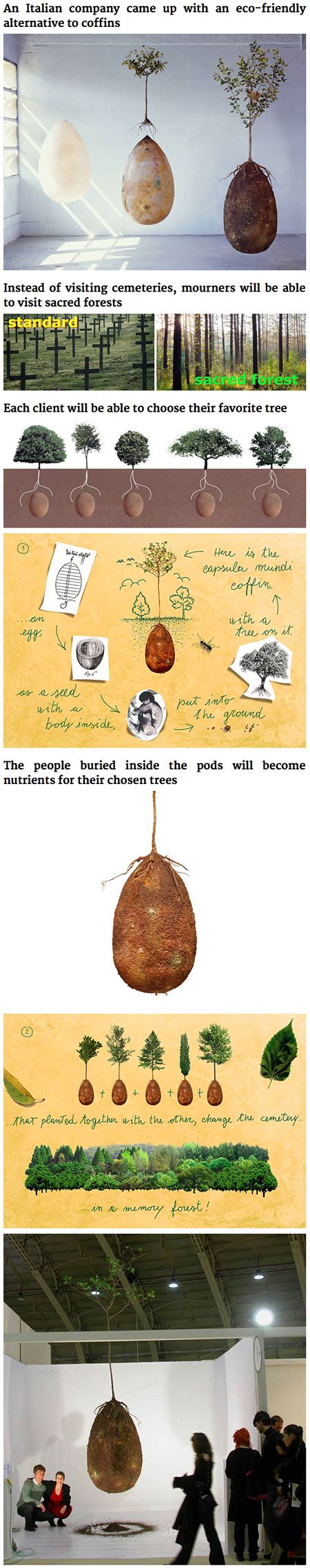 Capsula Mundi Burial Pods Will Turn Your Loved Ones Into Trees When They Die Techeblog