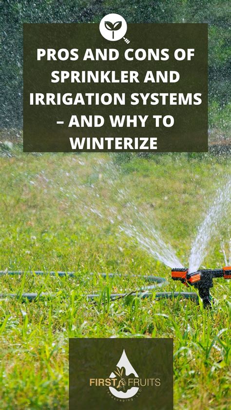 Pros And Cons Of Sprinkler And Irrigation Systems