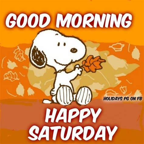 Pin By Charlene Griffieth On Charlie Brown Good Morning Saturday