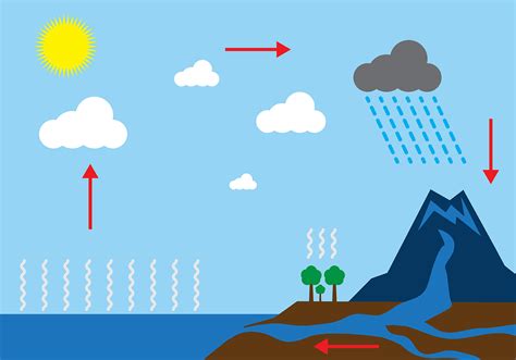 16 Water Cycle Diagram With Explain Png Diagrams