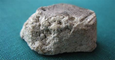 Paus sperma atau bahasa latinnya physeter macrocephalus tidak hanya terkenal kerana ambergris atau muntahannya saja. Gambar Wow Sperma Ikan Paus Dibanderol Rp917 Juta Okezone ...