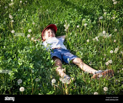 4 Years Old Boy Lying On The Grass Stock Photo Alamy