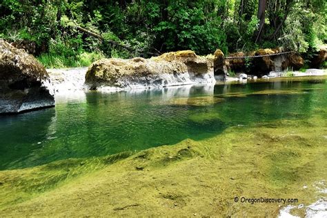 South Umpqua Swimming Umpqua National Forest Oregon Discovery