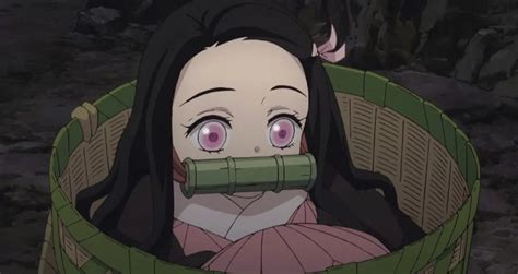The Best Why Does Nezuko Have Bamboo In Her Mouth Ideas News