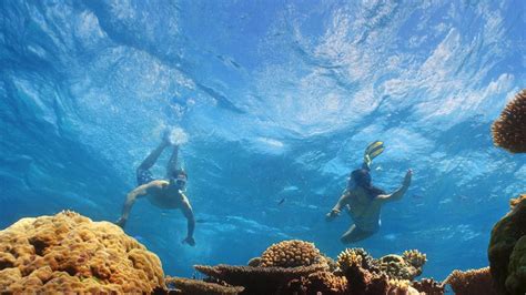 Vlasoff Cay Great Barrier Reef Queensland 360 Video Tourism