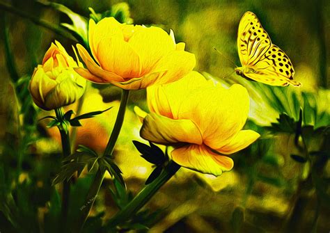 Butterfly Desktop Backgrounds ·① Wallpapertag