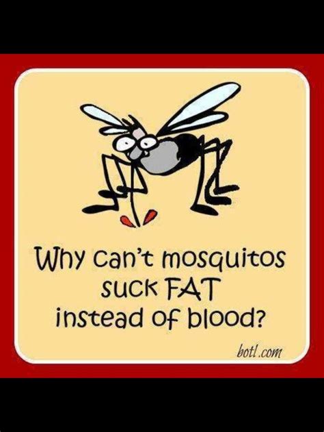 131 Best Bug Humor Images On Pinterest Ha Ha Funny Images And Funny Pics