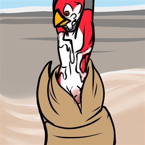 Rule 34 2016 Anonyartist Anthro Avian Avian Starbound Beak Bird