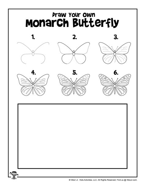 How To Draw A Butterfly Step By Step