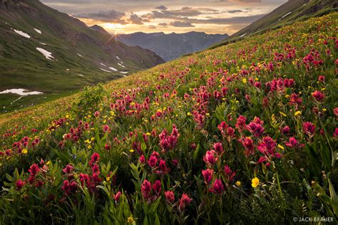 Paintbrush Sunset San Juan Mountains Colorado