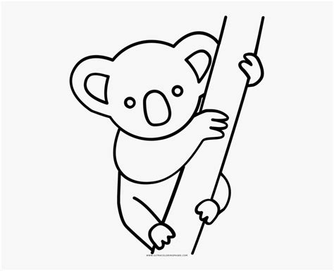 46 Incredible Koala Outline Drawing Photo Inspirations Koala Para