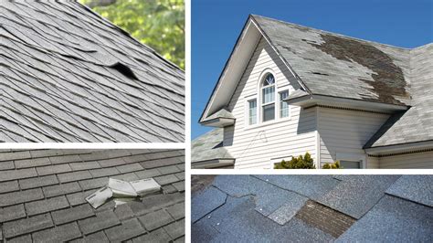 Asphalt Shingle Roof 5 Signs You Need Roof Repair Pearland Eagle Eye