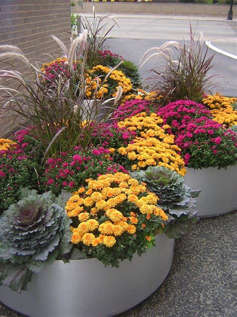 Fall Container Flower Ideas With Photos Fall Container Gardens