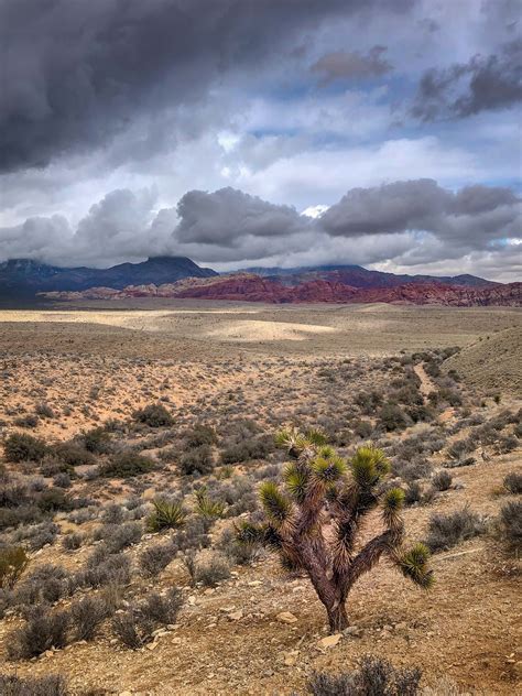 Red Rock Canyon National Conservation Area In Nevada Tours And