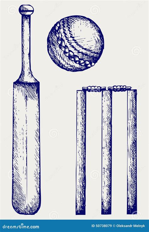 Set Equipment For Cricket Stock Vector Illustration Of Seam 50738079