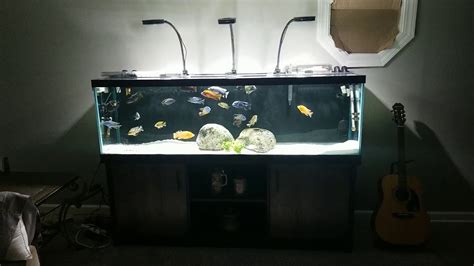 New 125 Gallon African Cichlid Tank Amazing Wonderful Best Aquarium