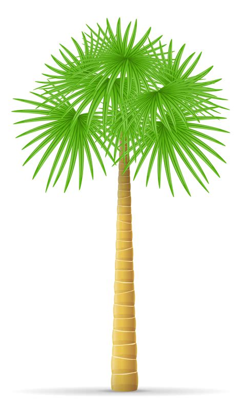 Palm Tree Vector Illustration 542489 Vector Art At Vecteezy