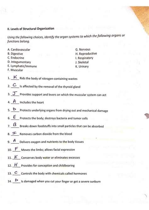 Chapter 1 Introduction To Human Anatomy And Physiology Worksheet