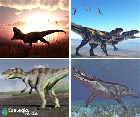 Dinosaurios CarnÍvoros Nombres Tipos Características E Imágenes