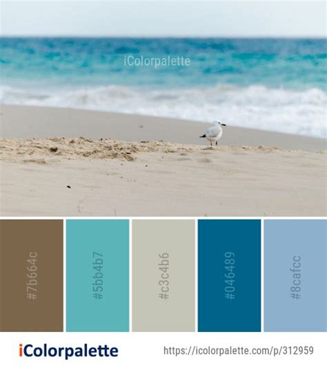 465 Beach Color Palette Ideas In 2020 Icolorpalette Beach Color