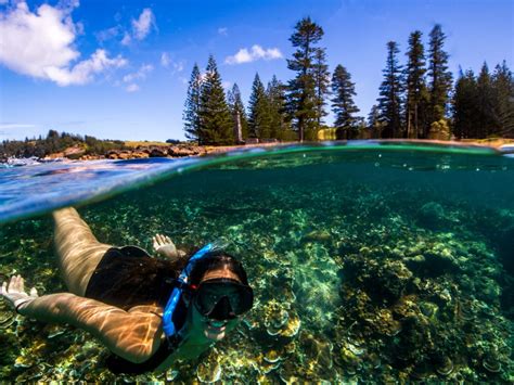 Due to the presence of tropical climate, traveling in norfolk island is best in the winters when the climate is really soothing. Norfolk Island - Our Island | Norfolk Island Travel Centre