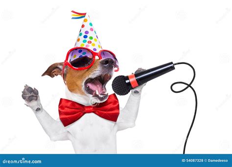 Happy Birthday Dog Singing Stock Photo Image Of Happy 54087328