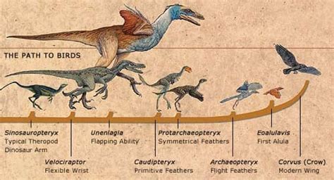 Did Dinosaurs Really Become Extinct 65 Million Years Ago