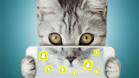 Snapchat Becomes Snap Cat Prepare For A Feline Invasion Androidpit