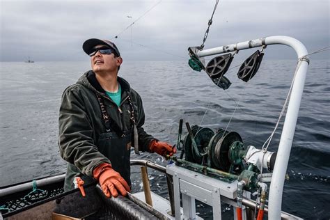 Fishing Gear Types 101 Trolling — Monterey Bay Fisheries Trust