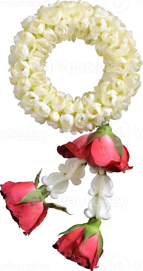 Jasmine Garland Symbol Of Mothers Day In Thailand On White Background