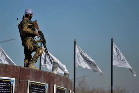 Taliban Killed 100 Ex Afghan Govt Officials Says Un Report Uca News