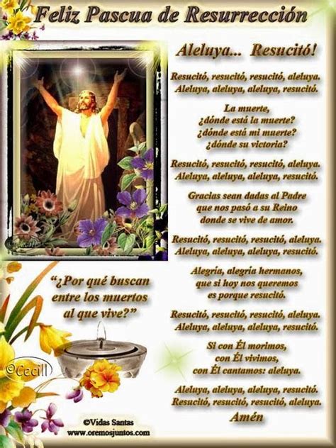 Mensaje de pascua del obispo de la diócesis de avellaneda lanús, monseñor frassia. Maribel Sansano: Queridos amigos, hoy es DOMINGO DE PASCUA ...