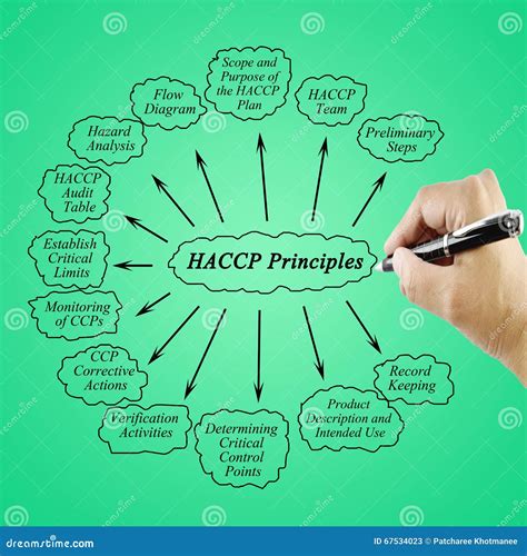 Woman Hand Writing Element Of Haccp Principle On White Background For