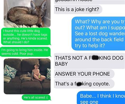 Wife Tricks Hubby Into Thinking She Just Adopted A Coyote His